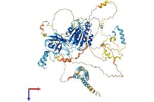 AlphaFold protein structure predicition of Mouse Recombinant Ints6l Protein, UniprotID Q8BND4
