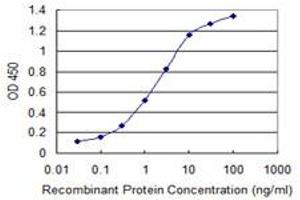 Detection limit for recombinant GST tagged ERAF is 0. (aHSP antibody  (AA 1-102))