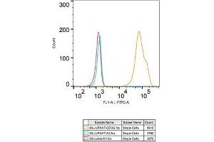 Flow cytometry: Jurkat cells were stained with Rabbit IgG isotype control (, 2. (CD3G antibody)