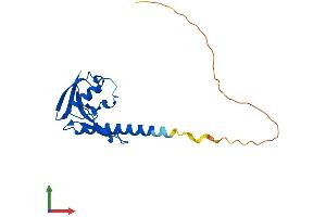 AlphaFold protein structure predicition of Human Recombinant CXorf65 Protein, UniprotID A6NEN9 (CXORF65 Protein (AA 1-183) (His tag))