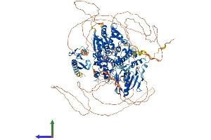 AlphaFold protein structure predicition of Mouse Recombinant Mtmr4 Protein, UniprotID Q91XS1