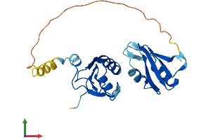 AlphaFold protein structure predicition of Human Recombinant SNRPB2 Protein, UniprotID P08579 (SNRPB2 Protein (AA 1-225) (His tag))