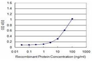 Detection limit for recombinant GST tagged ATF3 is approximately 3ng/ml as a capture antibody. (ATF3 antibody  (AA 1-181))