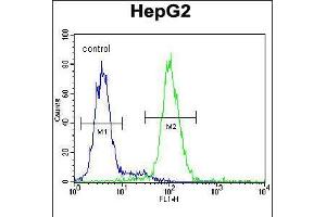 Flow cytometric analysis of HepG2 cells (right histogram) compared to a negative control cell (left histogram). (PSMD7 antibody  (C-Term))