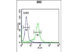 BTBD1 Antibody (Center) (ABIN391491 and ABIN2841458) flow cytometric analysis of 293 cells (right histogram) compared to a negative control cell (left histogram). (BTBD1 antibody  (AA 295-322))