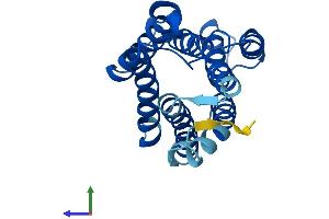 AlphaFold protein structure predicition of Mouse Recombinant Kdelr2 Protein, UniprotID Q9CQM2