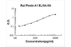 Plexin A1 (PLXNA1) ELISA Kit