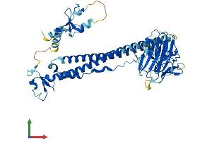 Protein Structure (PS) image for Tripartite Motif Containing 68 (TRIM68) (AA 1-485) protein (His tag) (ABIN7544723)