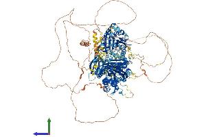 Protein Structure (PS) image for Synaptojanin 2 (SYNJ2) (AA 1-1434) protein (His tag) (ABIN7564974)