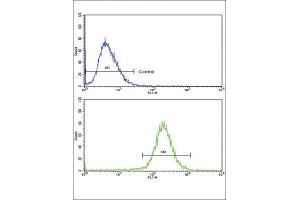 Flow Cytometry (FACS) image for anti-Sterol Carrier Protein 2 (SCP2) antibody (ABIN3003846) (SCP2 antibody)