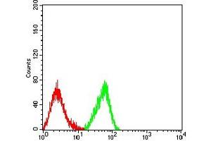 Flow cytometric analysis of HL-60 cells using CD344 mouse mAb (green) and negative control (red). (FZD4 antibody  (AA 37-222))