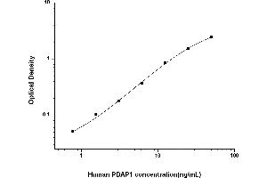 PDAP1 ELISA Kit