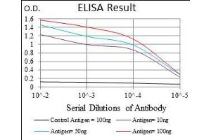 Black line: Control Antigen (100 ng), Purple line: Antigen(10 ng), Blue line: Antigen (50 ng), Red line: Antigen (100 ng), (ABCC4 antibody  (AA 631-692))