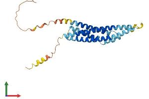AlphaFold protein structure predicition of Human Recombinant MS4A7 Protein, UniprotID Q9GZW8 (MS4A7 Protein (AA 1-240) (His tag))