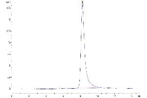 The purity of Human CD30 Ligand/TNFSF8 is greater than 95 % as determined by SEC-HPLC. (TNFSF8 Protein (AA 63-234) (His tag))