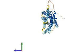 AlphaFold protein structure predicition of Mouse Recombinant Ackr4 Protein, UniprotID Q924I3