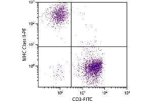 Chicken peripheral blood lymphocytes were stained with Mouse Anti-Chicken MHC Class II-PE. (MHC Class II antibody)