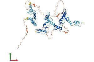 AlphaFold protein structure predicition of Human Recombinant ZNF397 Protein, UniprotID Q8NF99