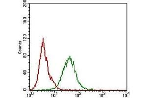 Flow cytometric analysis of A431 cells using CDH16 mouse mAb (green) and negative control (red). (Cadherin-16 antibody)