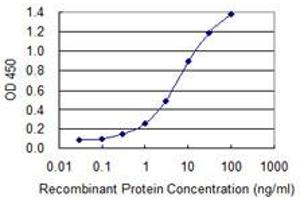 Detection limit for recombinant GST tagged SAV1 is 0. (SAV1 antibody  (AA 300-383))