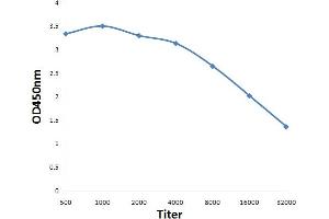 Antigen: 0. (FABP5 antibody  (AA 21-120))