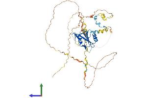 Protein Structure (PS) image for Cytokine-Dependent Hematopoietic Cell Linker (CLNK) (AA 1-435) protein (His tag) (ABIN7561827)