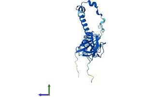 Protein Structure (PS) image for Tubulin Folding Cofactor B (TBCB) (AA 1-244) protein (His tag) (ABIN7544238)