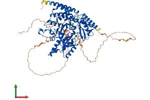 AlphaFold protein structure predicition of Mouse Recombinant Hdc Protein, UniprotID P23738