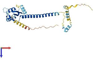 Activator of Basal Transcription 1 Protein (Abt1) (AA 1-272) (His tag)