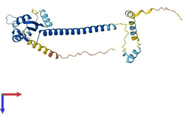 Activator of Basal Transcription 1 Protein (Abt1) (AA 1-272) (His tag)