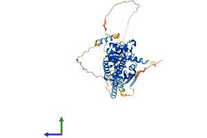 Protein Structure (PS) image for Differentially Expressed in FDCP 8 Homolog (DEF8) (AA 1-512) protein (His tag) (ABIN7547069)