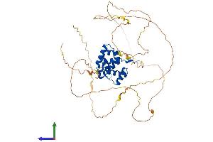 AlphaFold protein structure predicition of Human Recombinant ONECUT1 Protein, UniprotID Q9UBC0