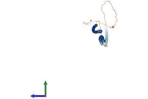 AlphaFold protein structure predicition of Human Recombinant KRT40 Protein, UniprotID Q6A162