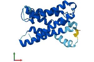 AlphaFold protein structure predicition of Human Recombinant KDELR3 Protein, UniprotID O43731 (KDELR3 Protein (AA 1-214) (His tag))