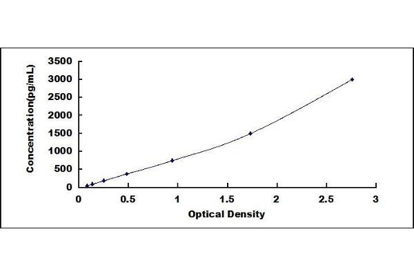 CD83 ELISA Kit