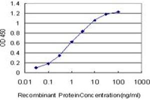 Detection limit for recombinant GST tagged KSR2 is approximately 0. (KSR2 antibody  (AA 411-500))