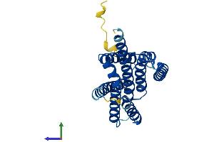 AlphaFold protein structure predicition of Human Recombinant TMBIM6 Protein, UniprotID P55061 (Bax Inhibitor 1 Protein (AA 1-237) (His tag))