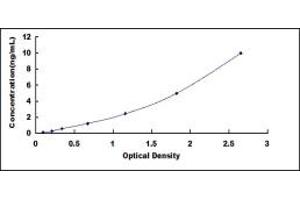 Typical standard curve (Calnexin ELISA Kit)