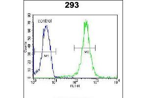 Flow cytometric analysis of 293 cells (right histogram) compared to a negative control cell (left histogram). (UBAC2 antibody  (N-Term))