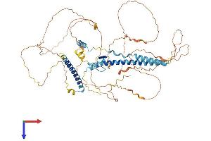 GATAD2A Protein (AA 1-629) (His tag)