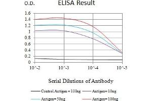 Black line: Control Antigen (100 ng),Purple line: Antigen (10 ng), Blue line: Antigen (50 ng), Red line:Antigen (100 ng) (SETD7 antibody  (AA 107-366))