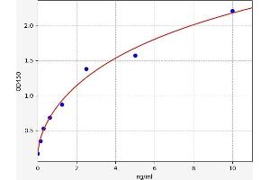Typical standard curve (ARNT ELISA Kit)