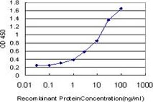 Detection limit for recombinant GST tagged SLC25A13 is approximately 0. (slc25a13 antibody  (AA 2-80))