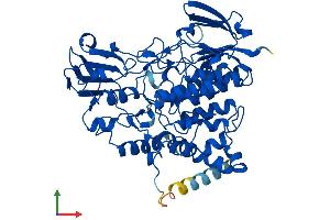 AlphaFold protein structure predicition of Human Recombinant FMO5 Protein, UniprotID P49326 (FMO5 Protein (AA 1-533) (His tag))