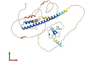 Protein Structure (PS) image for Inhibitor of Growth Family, Member 1 (ING1) (AA 1-422) protein (His tag) (ABIN7548530)