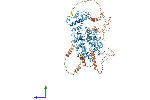 AlphaFold protein structure predicition of Human Recombinant ZNF267 Protein, UniprotID Q14586