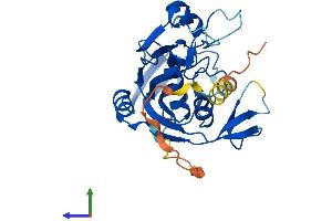 AlphaFold protein structure predicition of Mouse Recombinant Rpusd1 Protein, UniprotID Q8VCZ8 (RPUSD1 Protein (AA 1-306) (His tag))