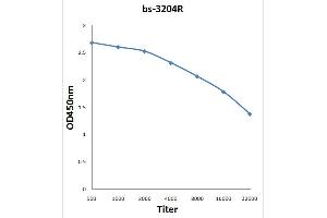 Antigen: 0. (IRS1 antibody  (pTyr896))