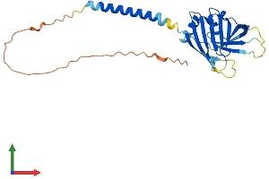 AlphaFold protein structure predicition of Mouse Recombinant Itm2c Protein, UniprotID Q91VK4 (ITM2C Protein (AA 1-269) (His tag))