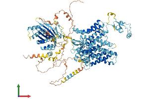 AlphaFold protein structure predicition of Human Recombinant SLC4A8 Protein, UniprotID Q2Y0W8 (SLC4A8 Protein (AA 1-1093) (His tag))